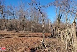 ISTRA, MARTINSKI, GRAĐEVINSKO ZEMLJIŠTE SA UCRTANIM OBJEKTOM, Sveta Nedelja, Land