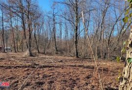 ISTRA, MARTINSKI, GRAĐEVINSKO ZEMLJIŠTE SA UCRTANIM OBJEKTOM, Sveta Nedelja, Land