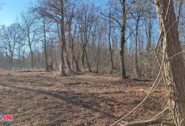 ISTRA, MARTINSKI, GRAĐEVINSKO ZEMLJIŠTE SA UCRTANIM OBJEKTOM, Sveta Nedelja, Land