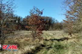 ISTRA, SV. PETAR U ŠUMI, KOMBINACIJA GRAĐEVINSKOG I POLJOPRIVREDNOG ZEMLJIŠTA, Sveti Petar U Šumi, Terrain