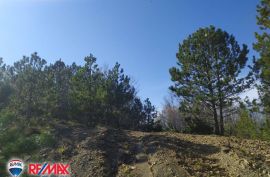 ISTRA, LESIŠĆINA, VELIKO POLJOPRIVREDNO ZEMLJIŠTE, Lupoglav, Terrain