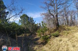 ISTRA, LESIŠĆINA, VELIKO POLJOPRIVREDNO ZEMLJIŠTE, Lupoglav, Terrain