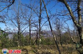 ISTRA, LESIŠĆINA, VELIKO POLJOPRIVREDNO ZEMLJIŠTE, Lupoglav, Terreno