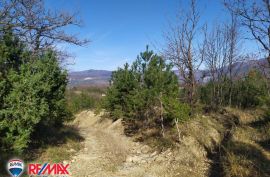 ISTRA, LESIŠĆINA, VELIKO POLJOPRIVREDNO ZEMLJIŠTE, Lupoglav, Γη