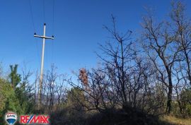 ISTRA, LESIŠĆINA, VELIKO POLJOPRIVREDNO ZEMLJIŠTE, Lupoglav, Terrain