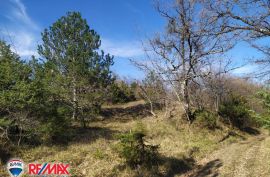 ISTRA, LESIŠĆINA, VELIKO POLJOPRIVREDNO ZEMLJIŠTE, Lupoglav, Terreno