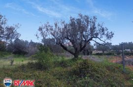 ISTRA, FAŽANA, GRAĐEVINSKO ZEMLJIŠTE 200 M OD MORA, Fažana, Terrain