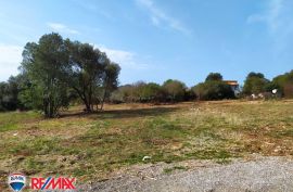 ISTRA, ŠTINJAN, GRAĐEVINSKO ZEMLJIŠTE, 1000 M2, Pula, Terrain