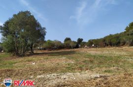 ISTRA, ŠTINJAN, GRAĐEVINSKO ZEMLJIŠTE, 1000 M2, Pula, Terrain