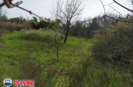 ISTRA, PUNTIŽELA, GRAĐEVINSKO ZEMLJIŠTE 100 M OD MORA, Fažana, Land