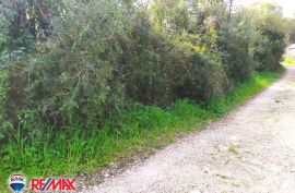 ISTRA, PUNTIŽELA, GRAĐEVINSKO ZEMLJIŠTE 100 M OD MORA, Fažana, Земля