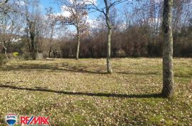 ISTRA, VIŽINADA, GRAĐEVISNKI TEREN 1150 M2, Vižinada, Land