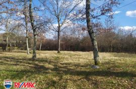 ISTRA, VIŽINADA, GRAĐEVISNKI TEREN 1150 M2, Vižinada, Γη