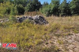 ISTRA, ŽMINJ, GRAĐEVINSKO ZEMLJIŠTE 3892 M2, Žminj, Terra