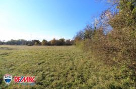 ISTRA, NEDEŠĆINA, VELIKO POLJOPRIVREDNO ZEMLJIŠTE, Sveta Nedelja, Land