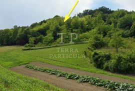 Zabok, poljoprivredno zemljište od 2.320 m² na prodaju, Zabok, Terra