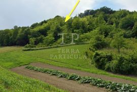 Zabok, poljoprivredno zemljište od 2.320 m² na prodaju, Zabok, Land