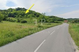 Zabok, poljoprivredno zemljište od 2.320 m² na prodaju, Zabok, Land