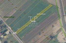 Veliko Trgovišće, poljoprivredno zemljište od 1.734 m², Veliko Trgovišće, Terra