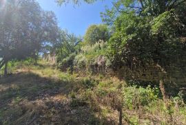 ISTRA, OPRTALJ - Kamena starina s panoramskim pogledom na zelenilo, Oprtalj, Kuća