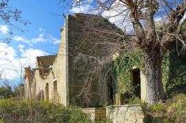 ISTRA, OPRTALJ - Kamena starina s panoramskim pogledom na zelenilo, Oprtalj, Kuća