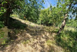 ISTRA, OPRTALJ - Kamena starina s panoramskim pogledom na zelenilo, Oprtalj, Kuća