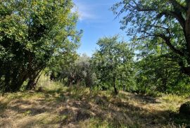 ISTRA, OPRTALJ - Kamena starina s panoramskim pogledom na zelenilo, Oprtalj, Kuća