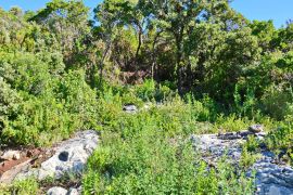 Atraktivno građevinsko zemljište uz more | Prekrasan pogled na otvoreno more | Raj na zemlji! | Dubrovnik okolica, Dubrovnik - Okolica, Terrain