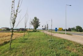 قائمة بيانات_حقول+افتراضي+عنوان, Sremska Mitrovica, أرض