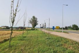 Gradjevinsko zemljiste Sremska Mitrovica, Sremska Mitrovica, Land