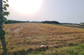 Gradjevinsko zemljiste Sremska Mitrovica, Sremska Mitrovica, Land