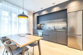 Zagreb, Donji grad, izuzetan adaptiran dvosoban stan, PRVI NAJAM, NKP 56 m2, Zagreb, Flat