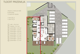 NAJPOŽELJNIJA NOVOGRADNJA U GRADU - STAN B-P-L, PRIZEMLJE S VRTOM, Novigrad, Kвартира