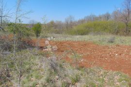 POLJOPRIVREDNO ZEMLJIŠTE, IZNAD DVIGRADA, Kanfanar, Land