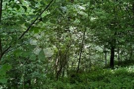 Bajkovito zemljište na obroncima Bilogore, Kapela, Land