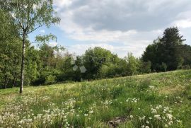 Bajkovito zemljište na obroncima Bilogore, Kapela, Land