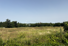 GRAĐEVINSKO ZEMLJIŠTE SA PROJEKTOM NA MIRNOJ LOKACIJI, Vodnjan, Land