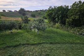 Vinogradarska kuća, Sveti Ilija, Maison