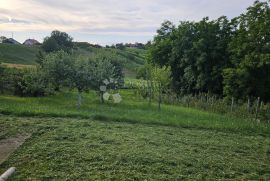 Vinogradarska kuća, Sveti Ilija, Famiglia