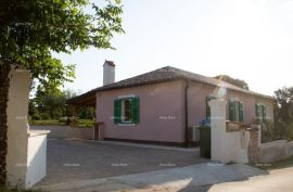 Kuća Prodaje se potpuno obnovljena i uređena kuća prizemnica u Barbanu, Barban, Ev