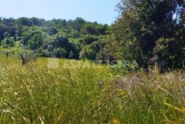 Štinjan građevinsko zemljište 450 m od mora, Pula, Terrain