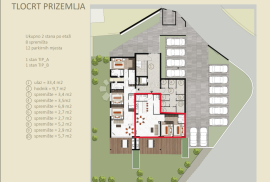 NAJPOŽELJNIJA NOVOGRADNJA U GRADU - STAN B-P-D, PRIZEMLJE S VRTOM, Novigrad, Appartment