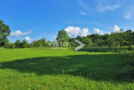 Gračišće, građevinsko zemljište u blizini svih sadržaja, Gračišće, Land