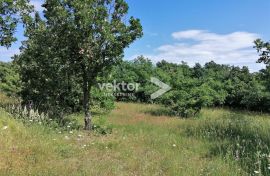 Svetvinčenat, zemljište za investiciju, 27.000m2, Svetvinčenat, Terrain