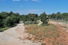 Svetvinčenat, zemljište za investiciju, 27.000m2, Svetvinčenat, Land