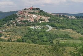 Zemljište s pogledom na Motovun, Karojba, Terrain