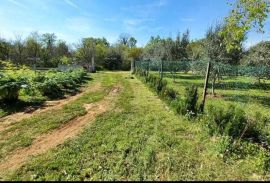 Poljoprivredno zemljište Galižana, poljoprivredna parcela., Vodnjan, Tierra
