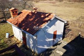 Pićan, kuća sa dva stana i 4500m2 građevinskog zemljišta, Pićan, House