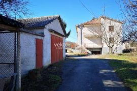 Pićan, kuća sa dva stana i 4500m2 građevinskog zemljišta, Pićan, House