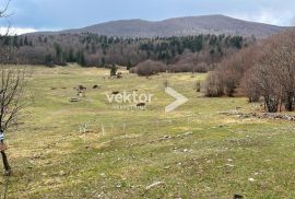 Platak, poljoprivredno zemljište 6.350m2, Čavle, Tierra